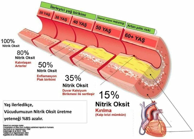 Nitrik Oksit'in Vücudumuzda ki Faydaları Nedir?