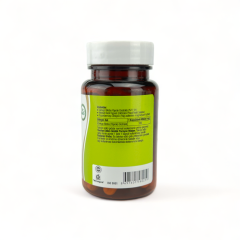 anti Ginkgo Biloba Ekstratı 60 Kapsül