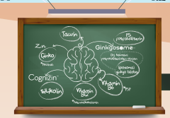 NBT Life Cognilife Ginkgo Biloba, Çinko, Vitamin B12, ve Vitamin B6 İçeren Takviye Edici Gıda